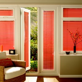 Dove Blinds